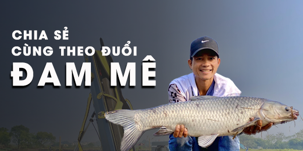 Homepage middle 2