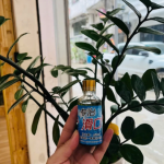 HƯƠNG VŨ NGƯ 50ML