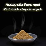 MỒI CÂU - CHÉP ĂN LIỀN