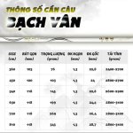 Cần câu Bạch Vân