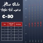 Phao Dahe điện C30