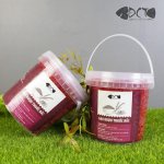 Gạo Rượu Thuốc Bắc