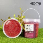 Gạo Rượu Thuốc Bắc