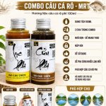 HL RÔ PHI LỤC PHI - CỬU PHI