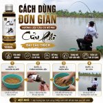 HL RÔ PHI LỤC PHI - CỬU PHI