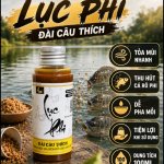 HL RÔ PHI LỤC PHI - CỬU PHI
