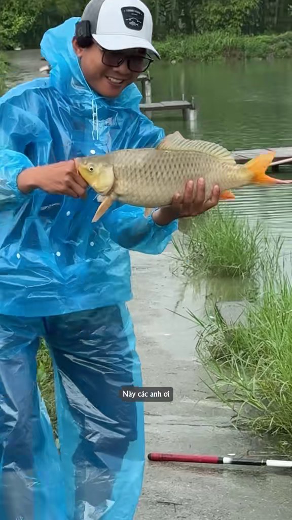 Chép củ vàng óng lên bờ - Cao Thiện chơi lớn bao hồ Bảo Uyên 5 triệu: đội mưa câu 13 con chép, 37 cân