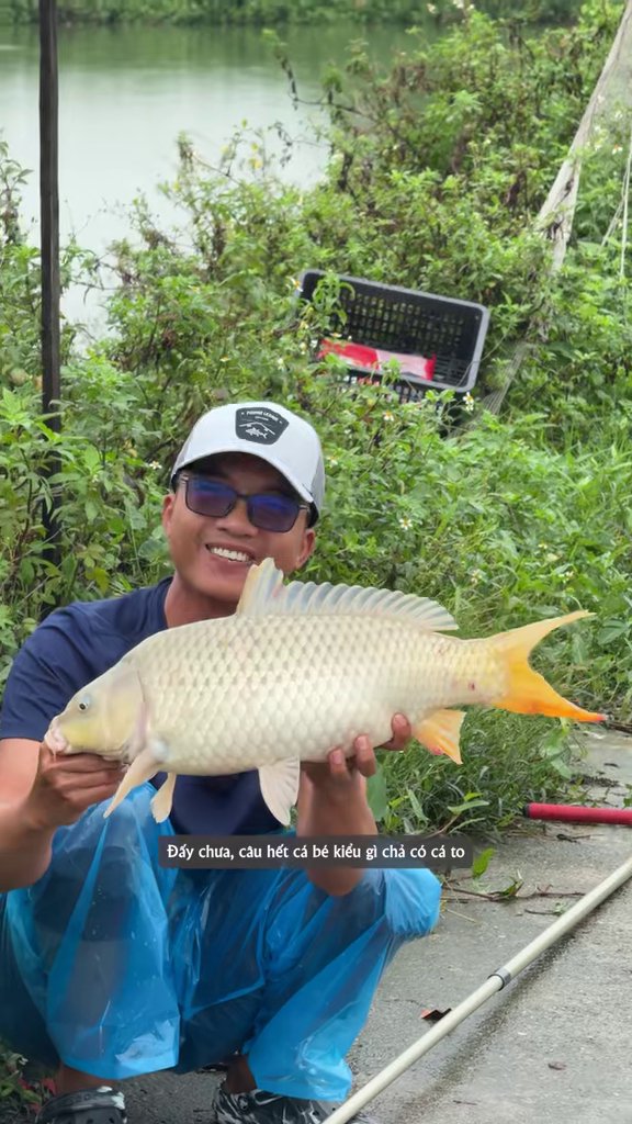 Cao Thiện khoe chép đẹp "như tranh Đông Hồ" - Cao Thiện chơi lớn bao hồ Bảo Uyên 5 triệu: đội mưa câu 13 con chép, 37 cân
