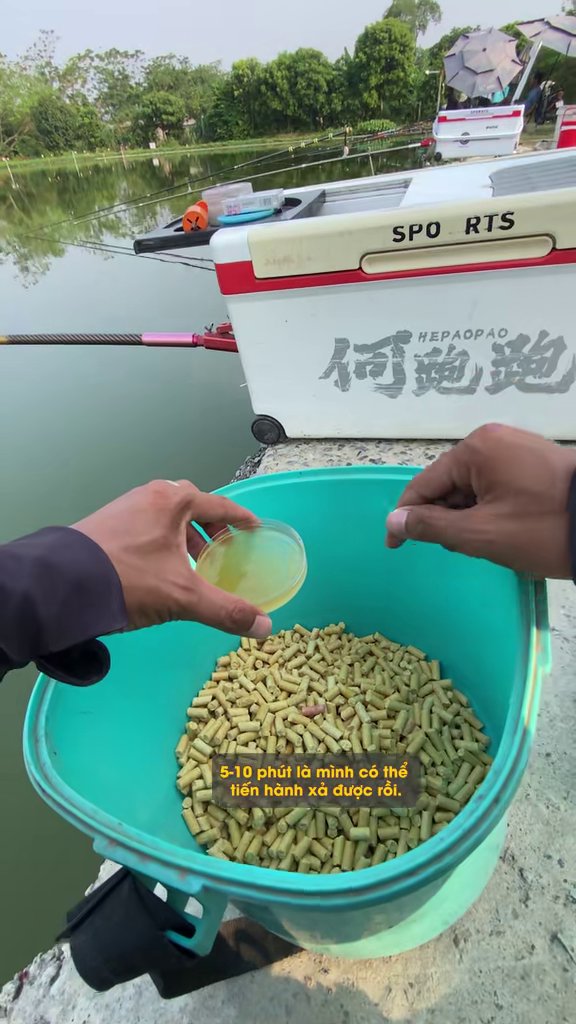 Hạt nhà hồ nhỏ thêm Thuốc Vương, ủ 5 – 10 phút - Săn trắm đen hồ câu 1997 Phú Thọ: vé 700 nghìn, chốt 7 con