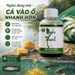HƯƠNG LIỆU NƯỚC XANH